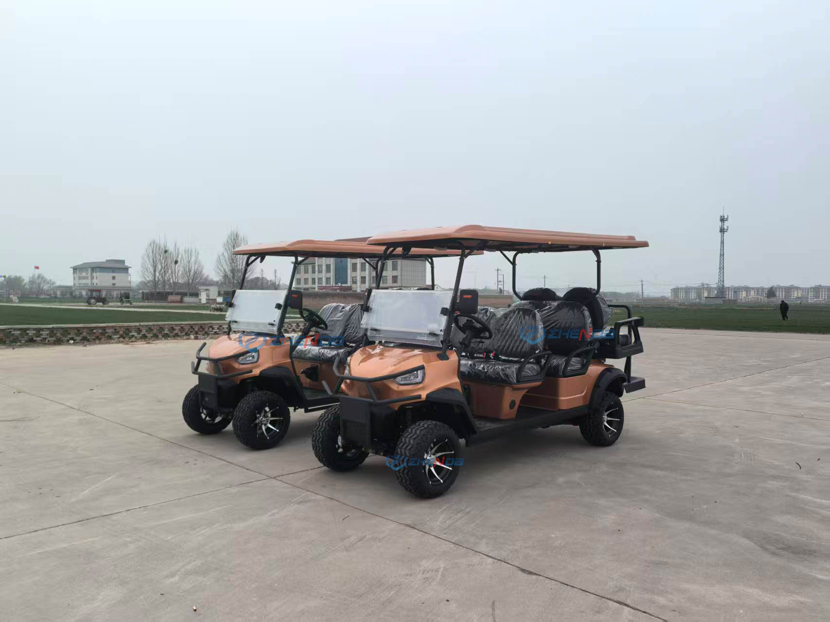 Golf Cart Main View