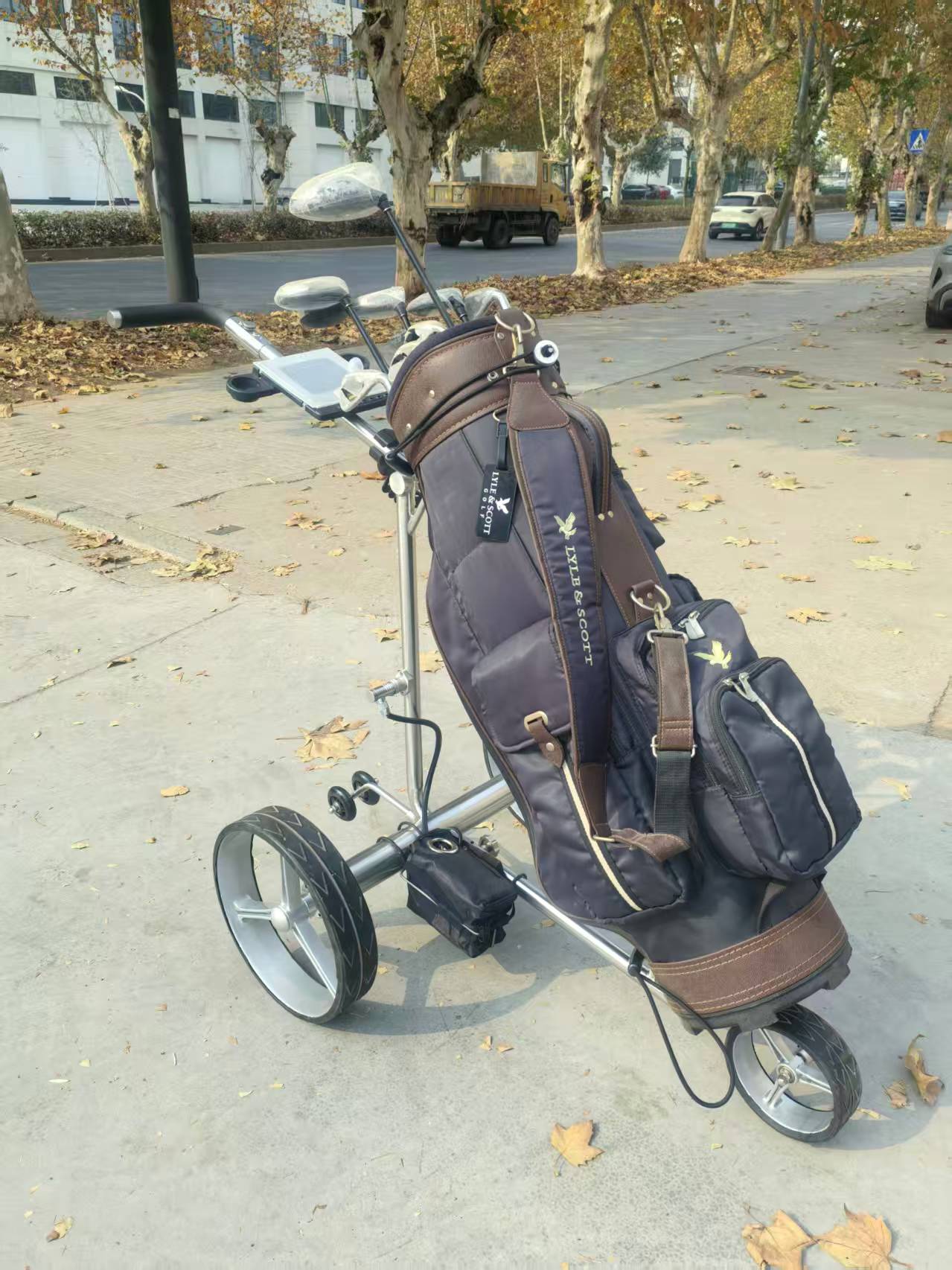 Three Wheeled Aluminum Alloy Certified Electric Lithium Remote Control Golf Trolley With 24V