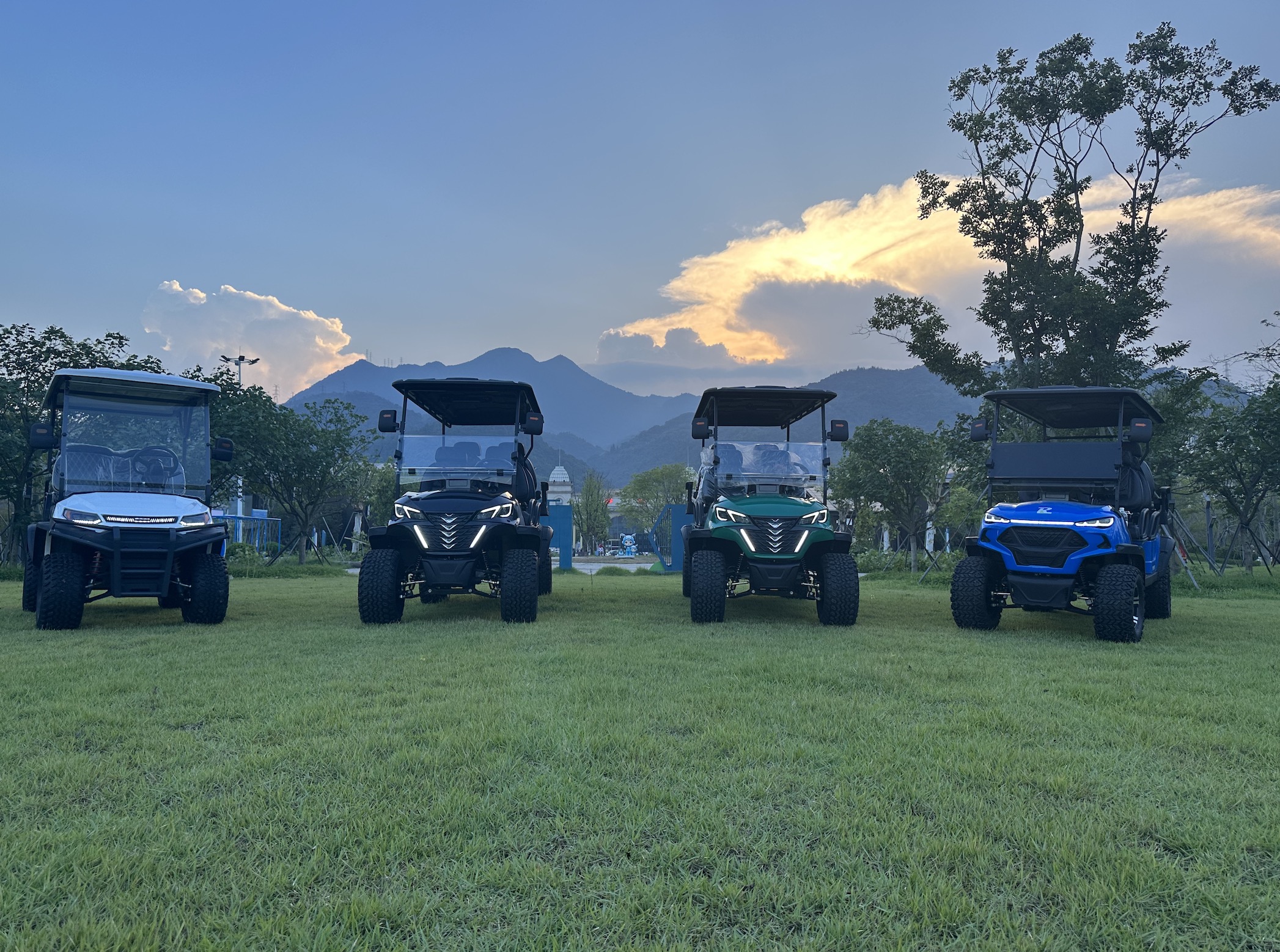Electric Golf Cart View 8