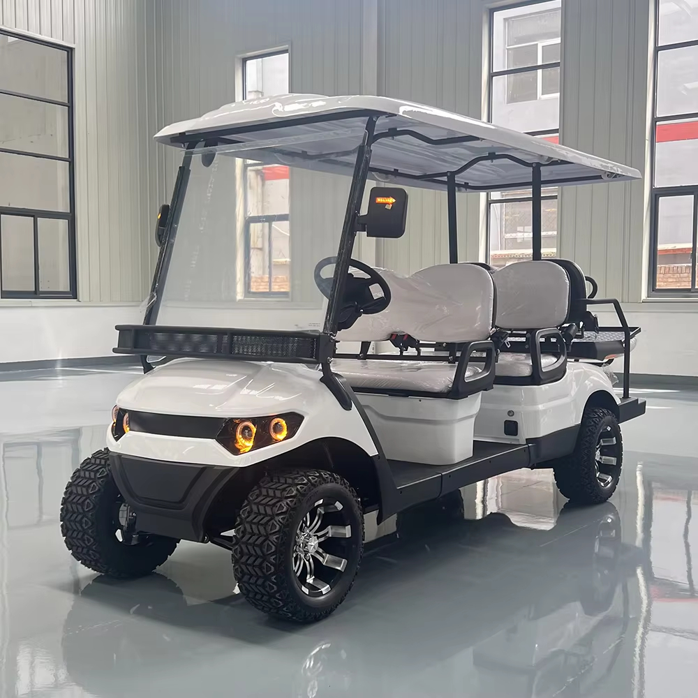 2025 Newest Model Smart Golf Cart with GPS Display Screen &amp; Remote Control