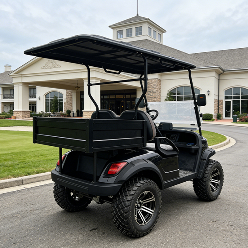 Heavy-Duty Gasoline 4 Stroke Golf Cart with Dual Hydraulic Damping 1-2 Seats 70-90km Range