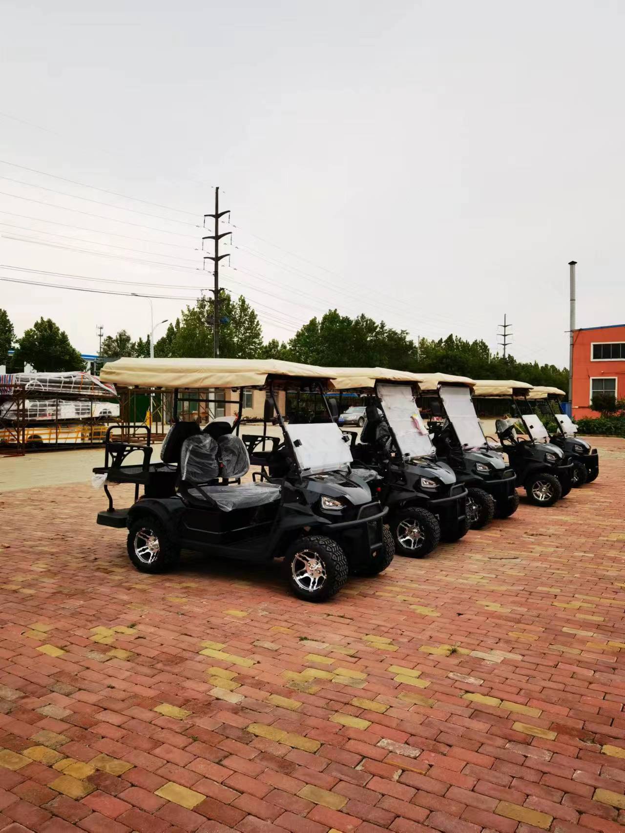 Custom 4 Seats High Quality Mini Golf Cart