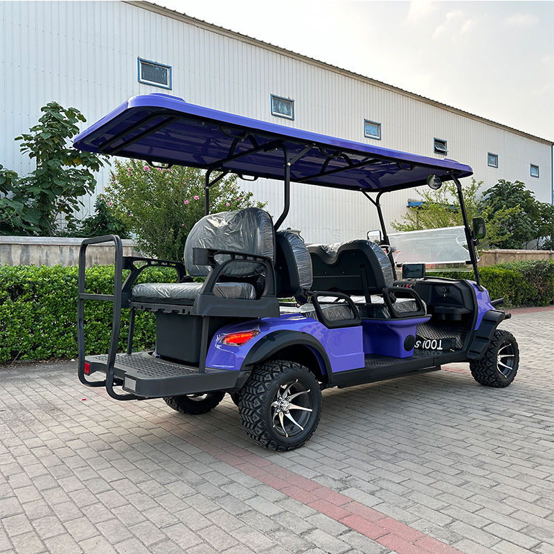 Best Price 6-Seater Electric Lithium Golf Cart 4-Wheel Buggy