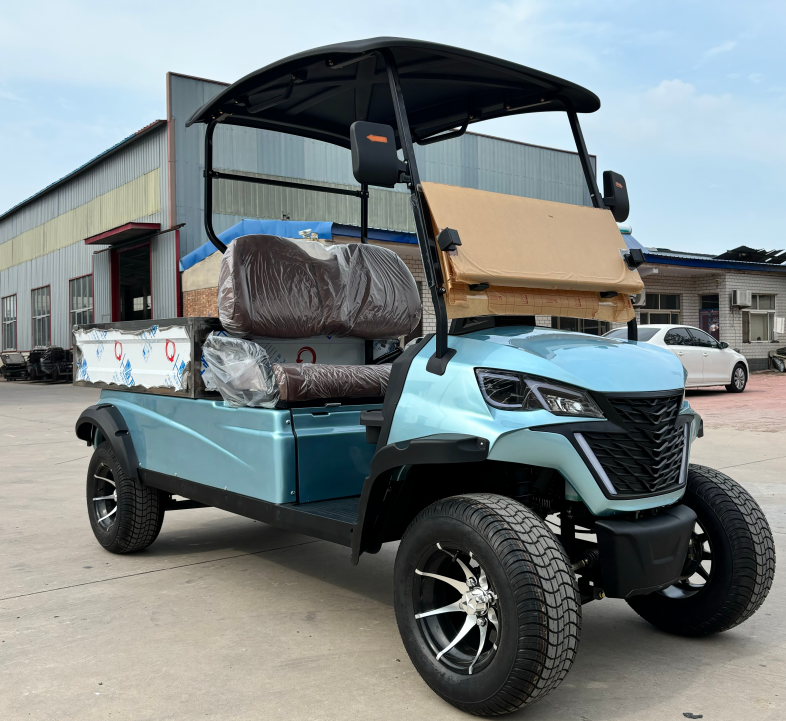 Sharefer 2 Passengers Buggy Utility Vehicle for Sale With Price Cargo Box Trolley Electric Golf Carts