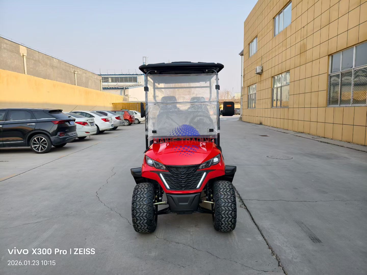 Electric Digital Display Golf Cart-Chinese Factory Direct Smart Tech for Real-Time Battery Speed Monitoring Lithium Battery