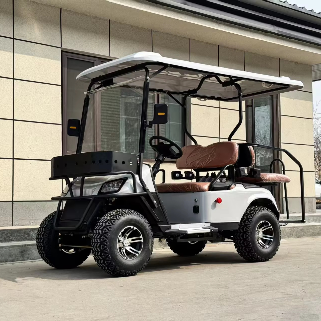 Customizable Golf Cart Premium Leather Seats Stylish Design Perfect for Personal Use One Year Warranty