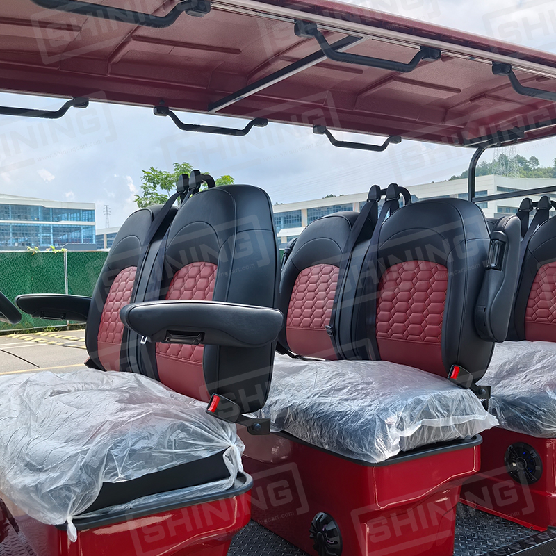 Shininglsv 400cc 6 Seater Gasoline Golf Cart New Style Gas Golf Carts
