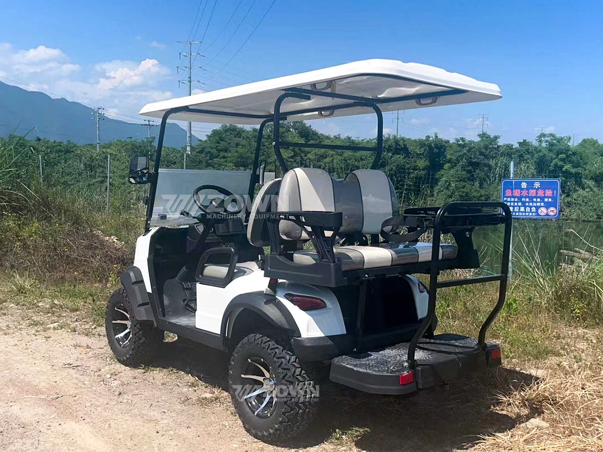 Electric Golf Cart Side View