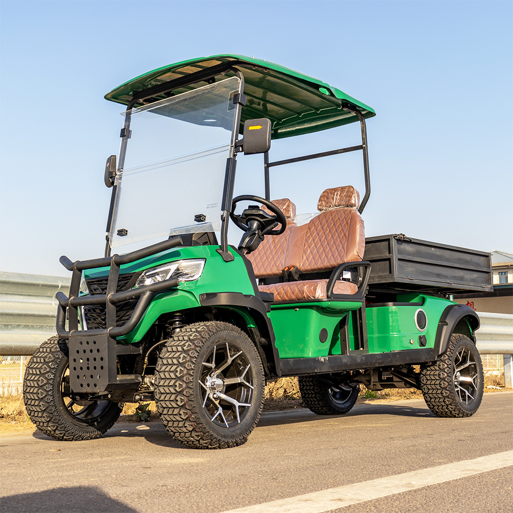 Golf Cart Detail 2
