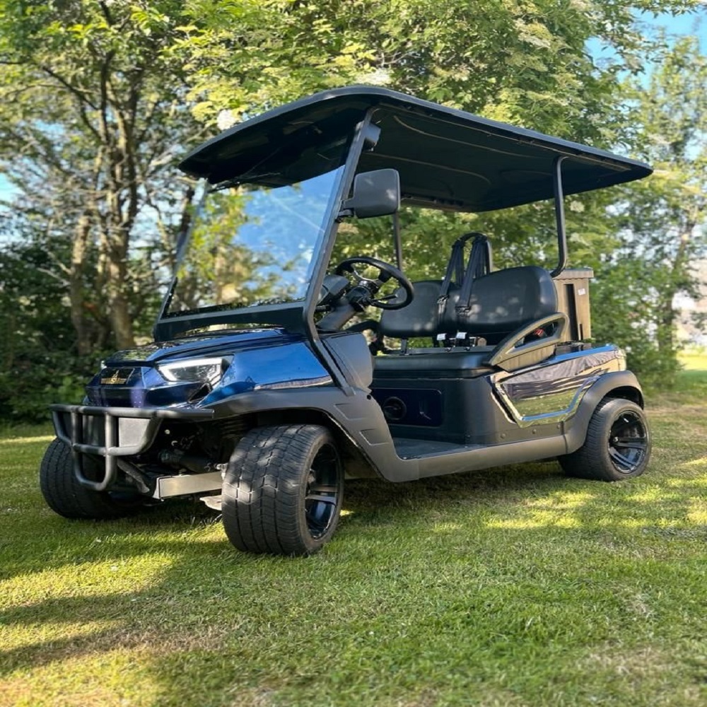 High Efficiency Seat Electric Golf Cart 48V Powered Lightweight Frame For Comfortable Golf Course Resort &amp; Outdoor Driving