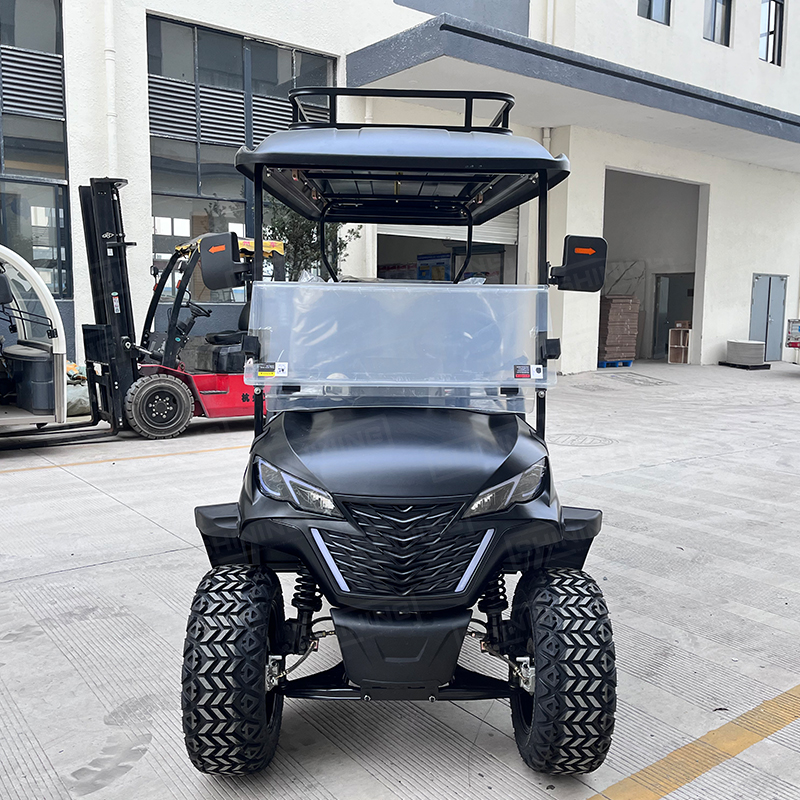 Shininglsv New 6 Golf Carts Gas Powered Gasoline Import Golf Carts From China