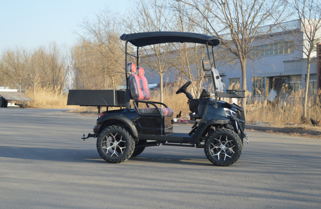 New Design 2 Seater Mini Black Electric Club Car Golf Cart with Off-road Capability for Private Golf Club Personal Use
