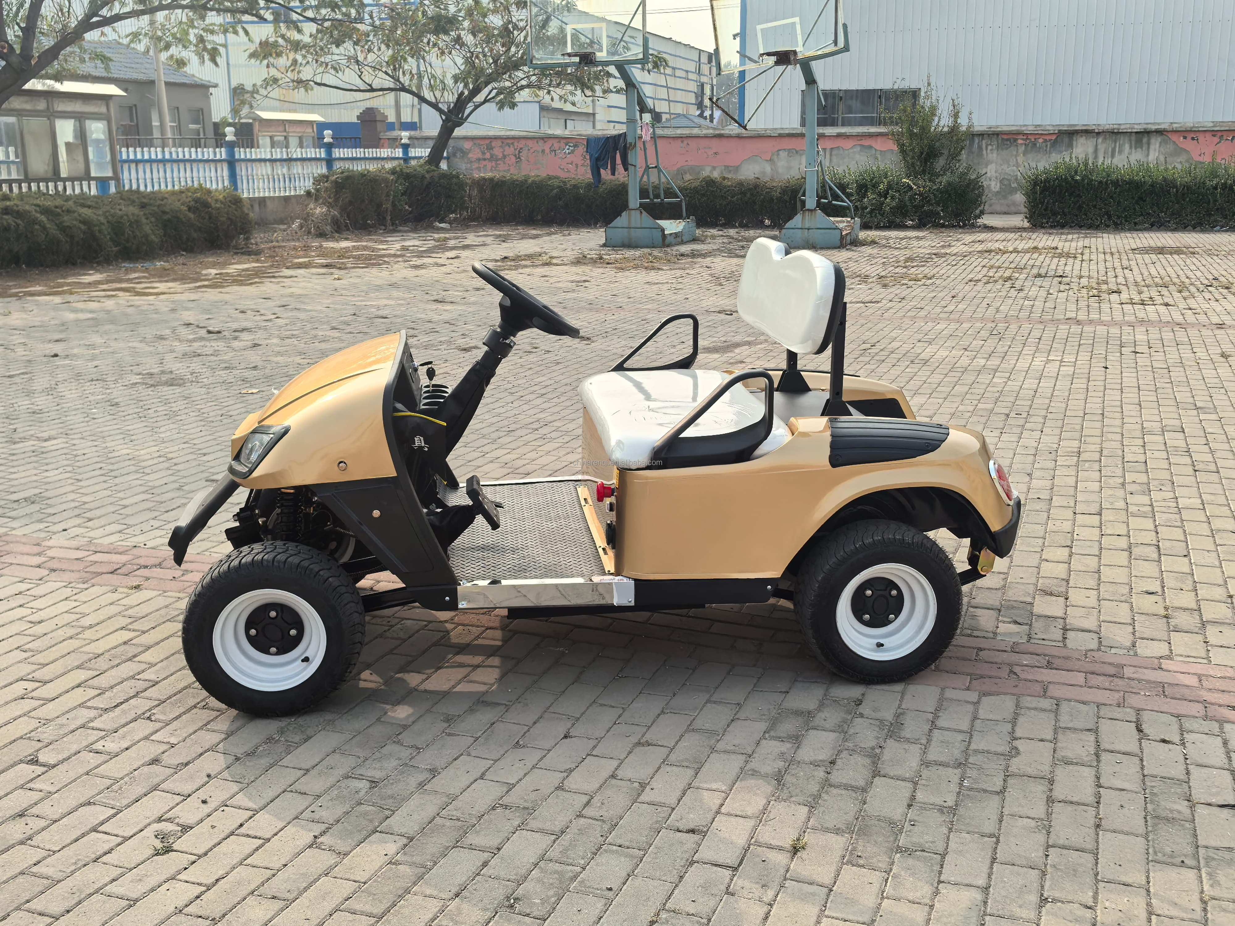 RENQI Premium 2-Seater Electric Golf Cart Mini Design with Suspension for Personal Use CE Certified