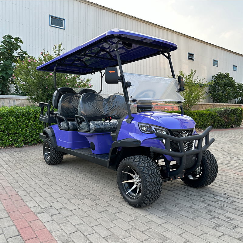 Best Price 6-Seater Electric Lithium Golf Cart 4-Wheel Buggy