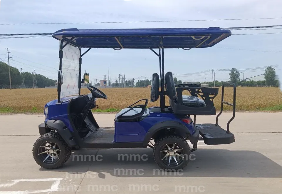 Golf Cart Photo 3