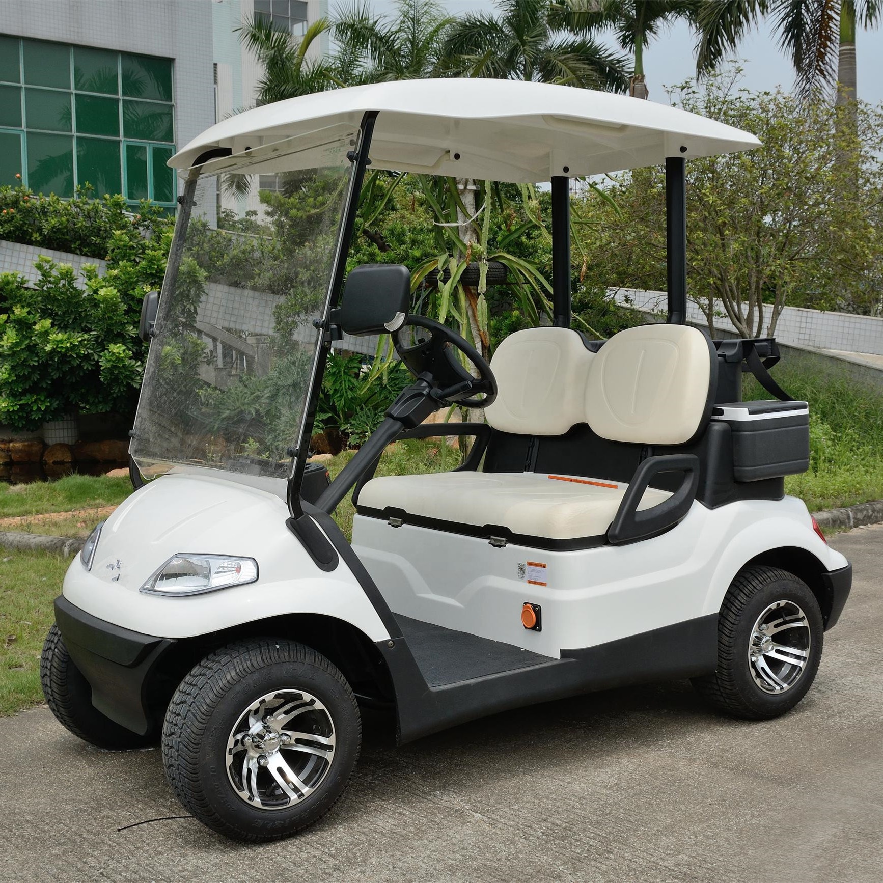 CE Approved Electric Golf Cart 2 Seater for Personal Use A627.2