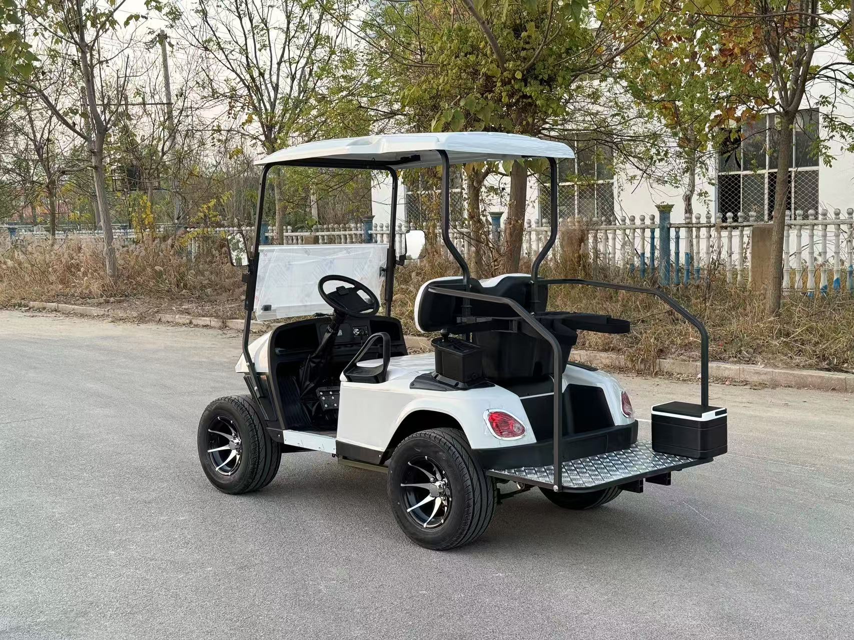 CE DOT Certified Mini Golf Cart 2-Seat - Luxurious Seats, 60V 100AH, 100km Long Range For Resort