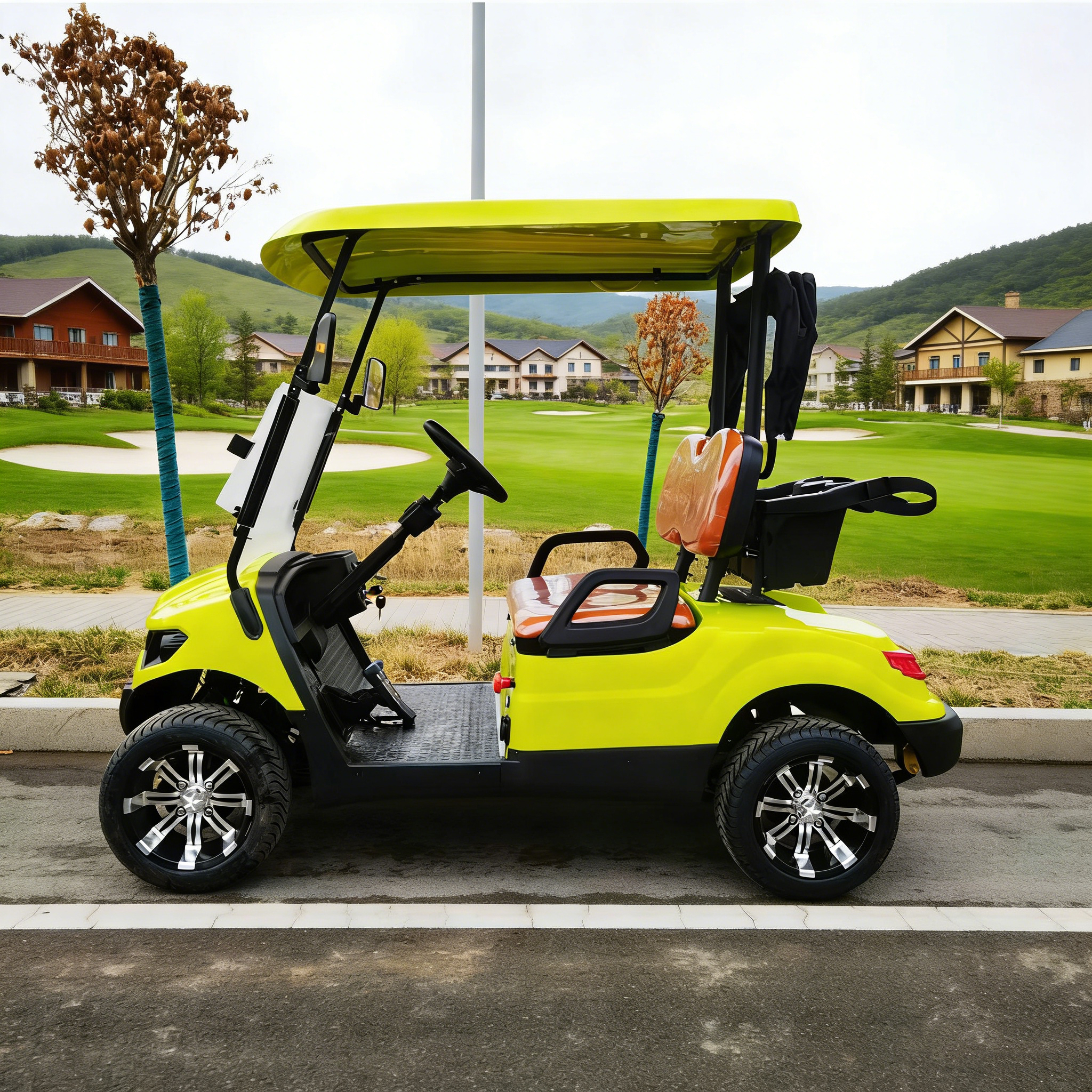 Customized 2-Seater Golf Cart for Country Club Airport Tourist 2 Seats Golf Buggy Lithium Battery Free Maintenance Long Range