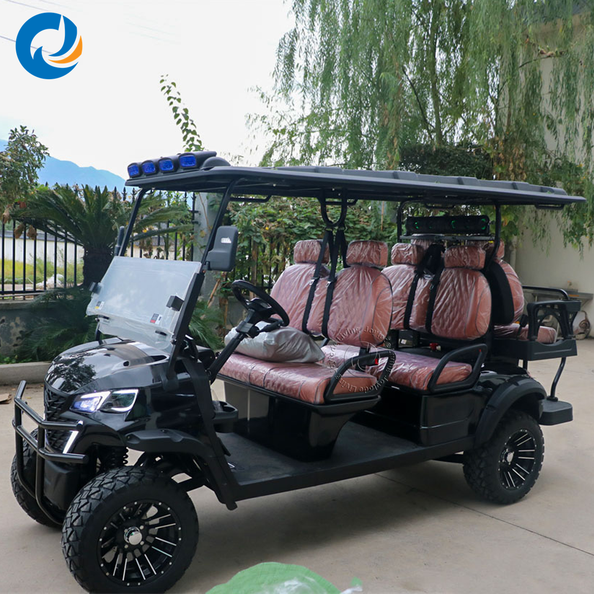Independent Suspension 3-4 Passenger Electric Sightseeing Golf Cart Dune Buggy Multi-purpose Vehicle Road Legal