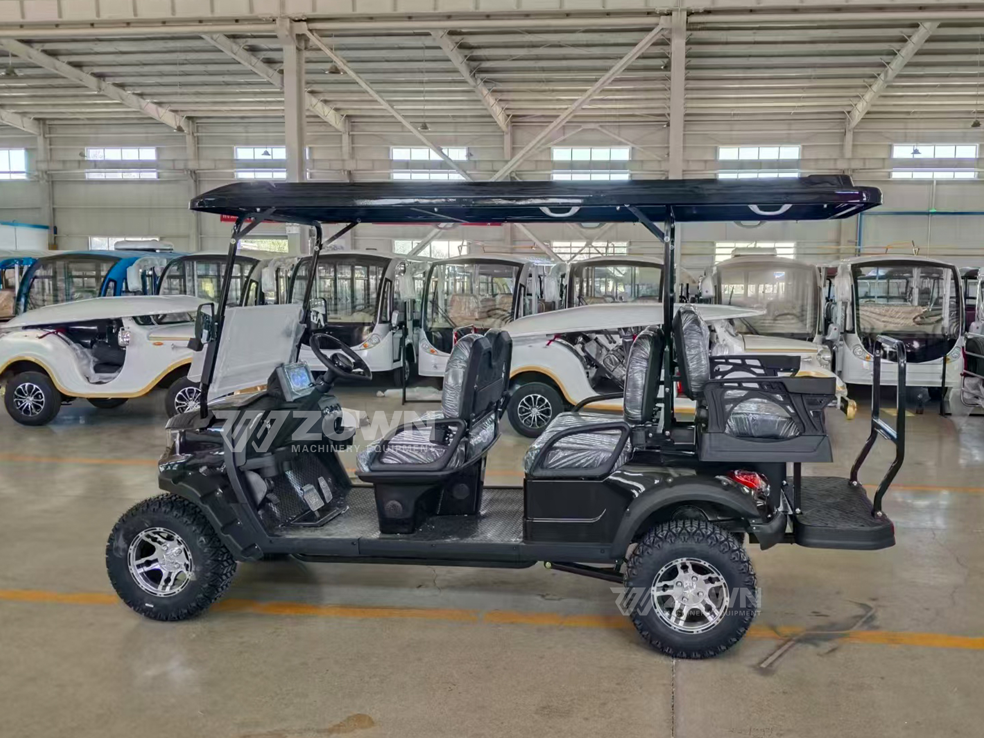 Electric Golf Cart