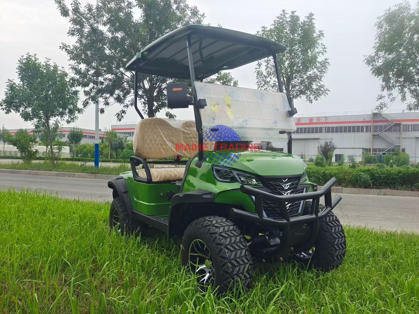 Electric Golf Car Multifunctional 6 Person Electric Sightseeing Golf Cart for Resort Use