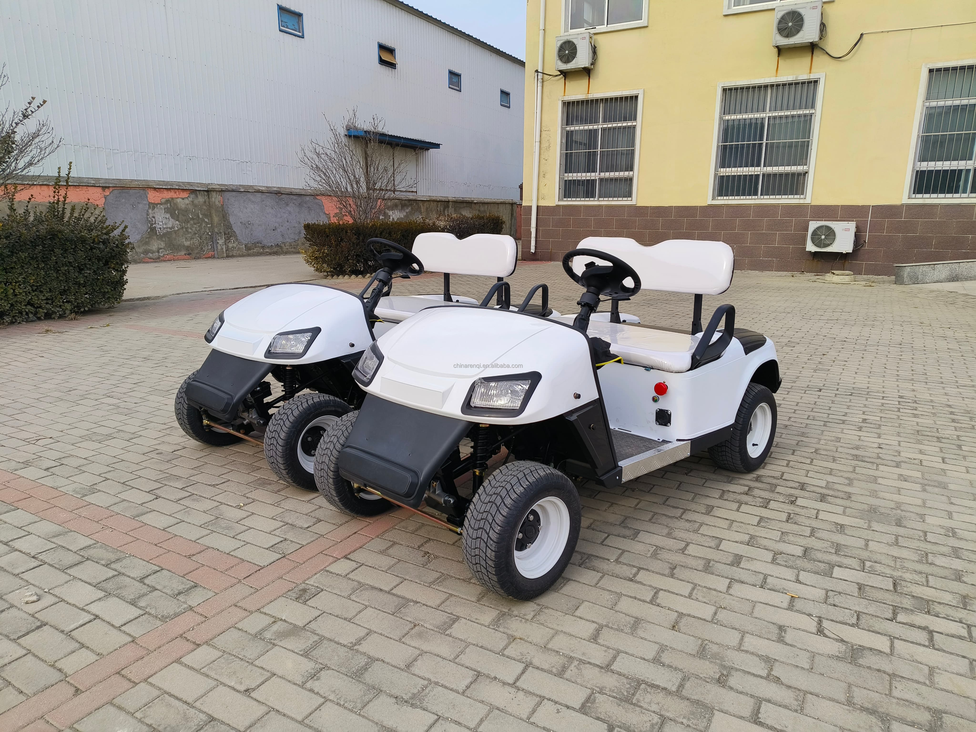 RENQI Premium 2-Seater Electric Golf Cart Mini Design with Suspension for Personal Use CE Certified