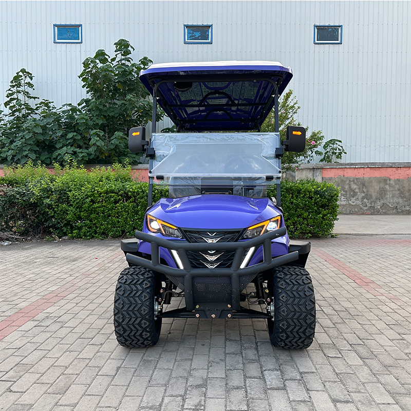 Best Price 6-Seater Electric Lithium Golf Cart 4-Wheel Buggy