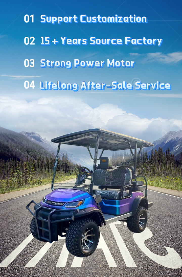 Electric Golf Buggy