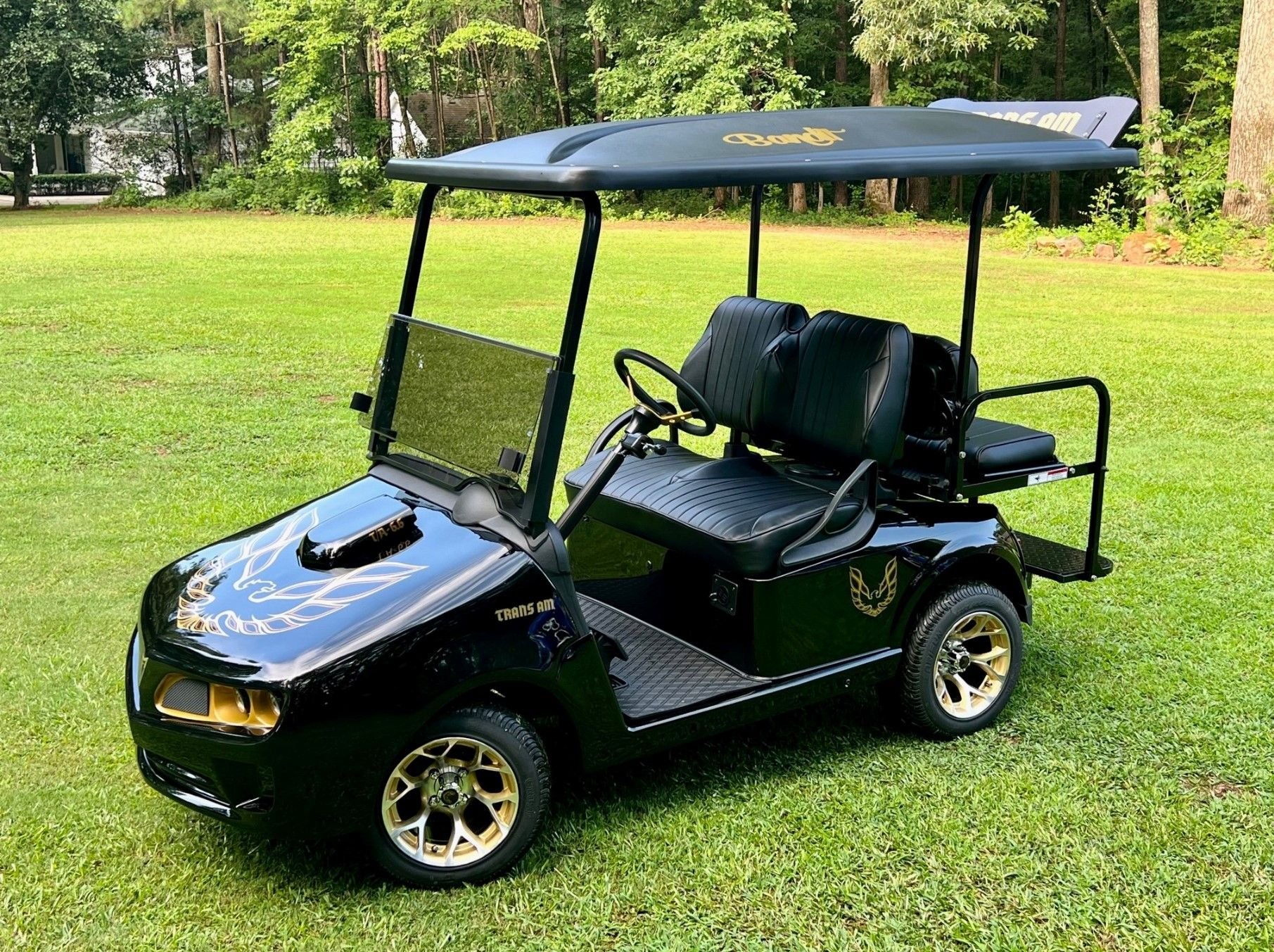 Utility and Multi-Passenger Golf Carts for Sale