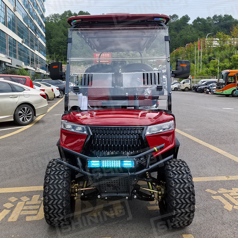 Shininglsv 400cc 6 Seater Gasoline Golf Cart New Style Gas Golf Carts