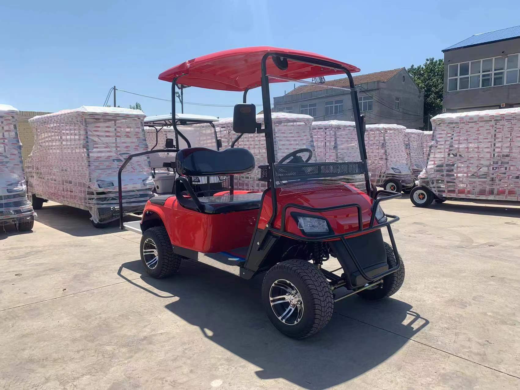 Custom 4 Seats High Quality Mini Golf Cart