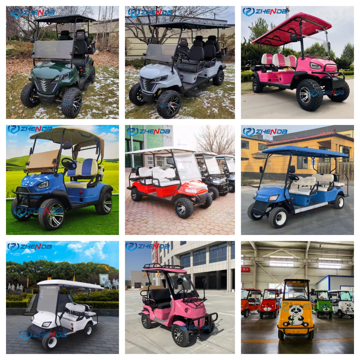 Electric Golf Cart View 2