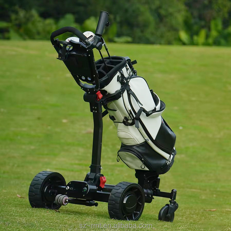Electric Golf Cart Details