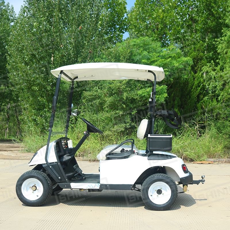 Shininglsv Cart Enclosure Rain Curtain Utility Car Mini 2 Seater Golf Cart