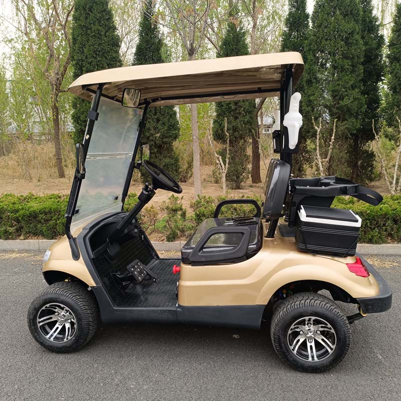 QIFAN Mini Luxury 4 Seats 6 Seats 8 Seats Electric Classic Golf Cart for Wedding Resort Hotel