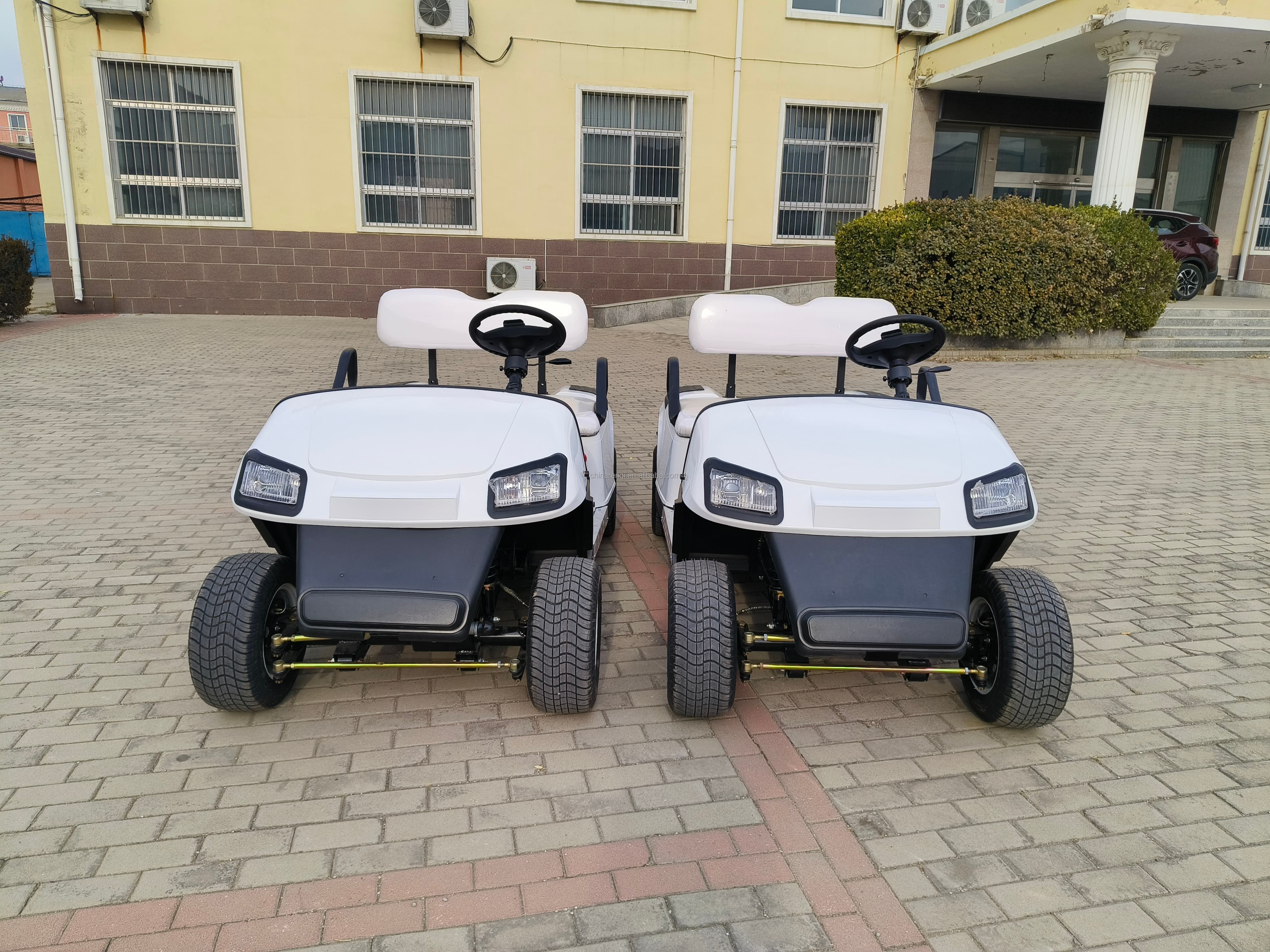 RENQI Premium 2-Seater Electric Golf Cart Mini Design with Suspension for Personal Use CE Certified