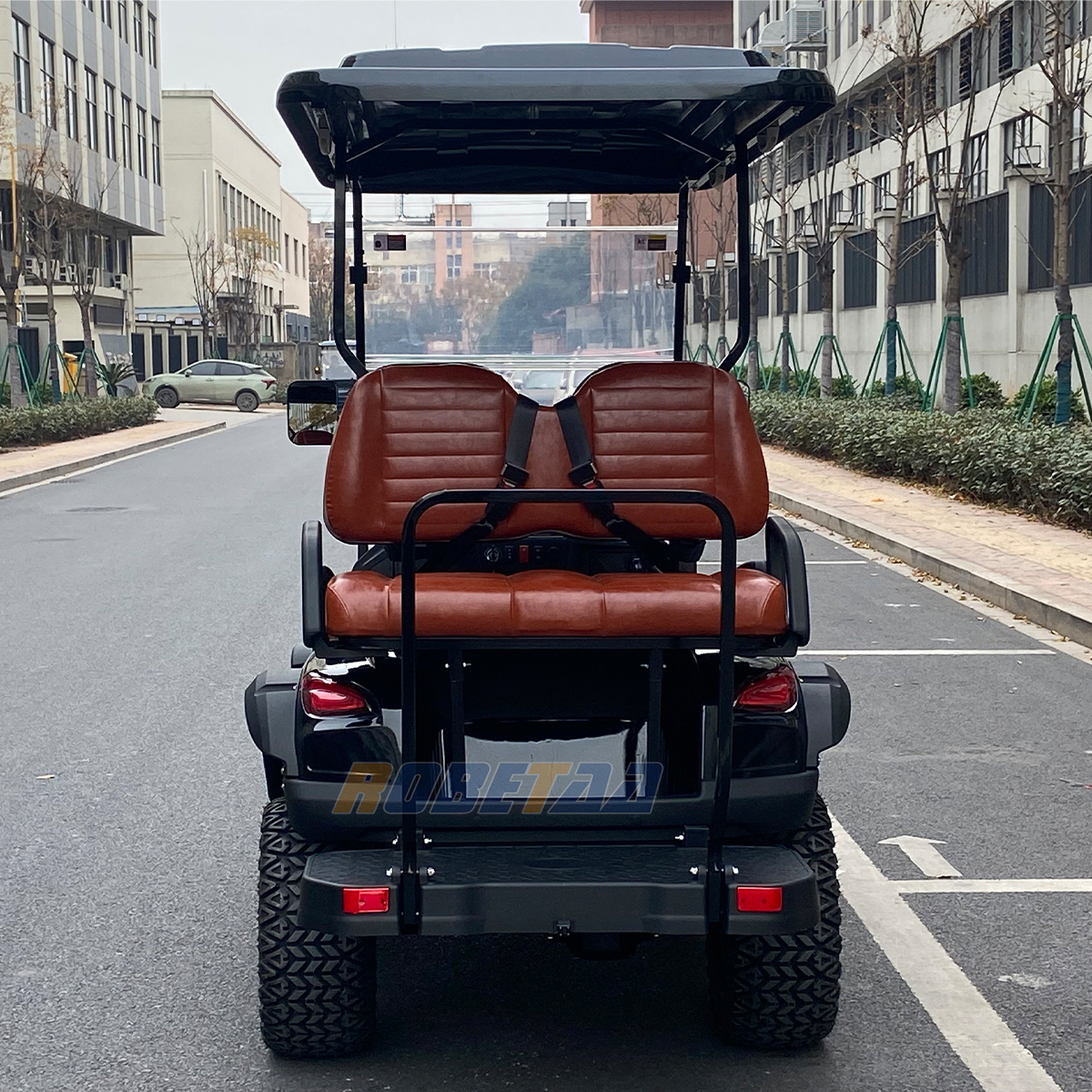 Wholesale 4 Passenger Gasoline Golf Cart Offroad Petrol Golf Carts for Adults Commercial Utv
