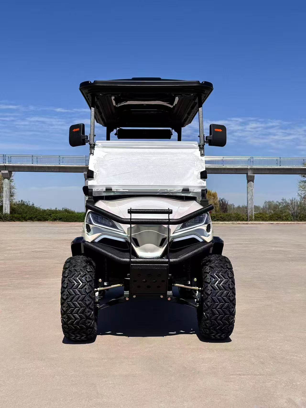 Four-wheel Drive Electric Car Golf Cart Lithium Batteries Off-Road Golf Cart Electric Mini Golf Cart with Folding Seats