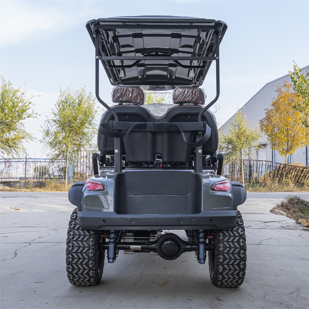 Electric golf cart model B