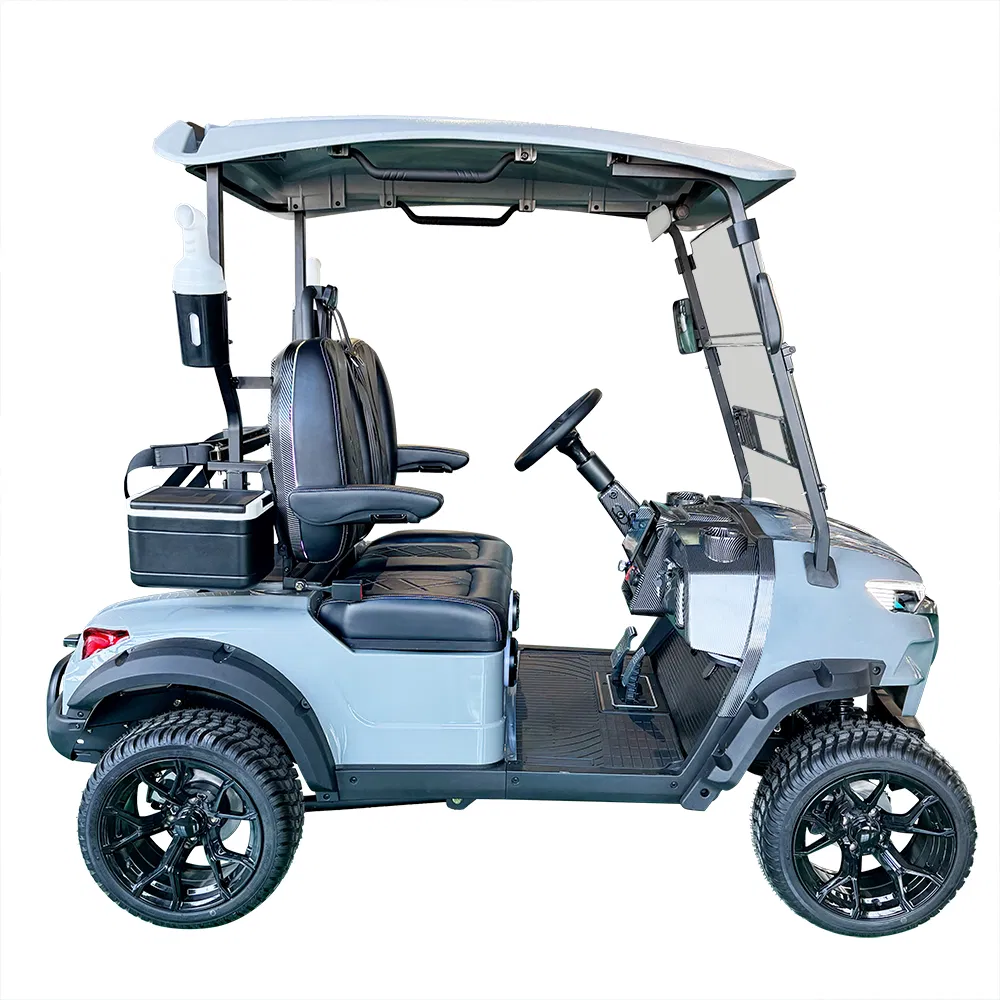 Electric Lithium Battery Two-Seater Golf Cart for Golf Courses