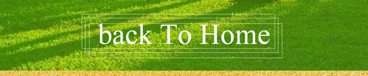 Bottom Banner