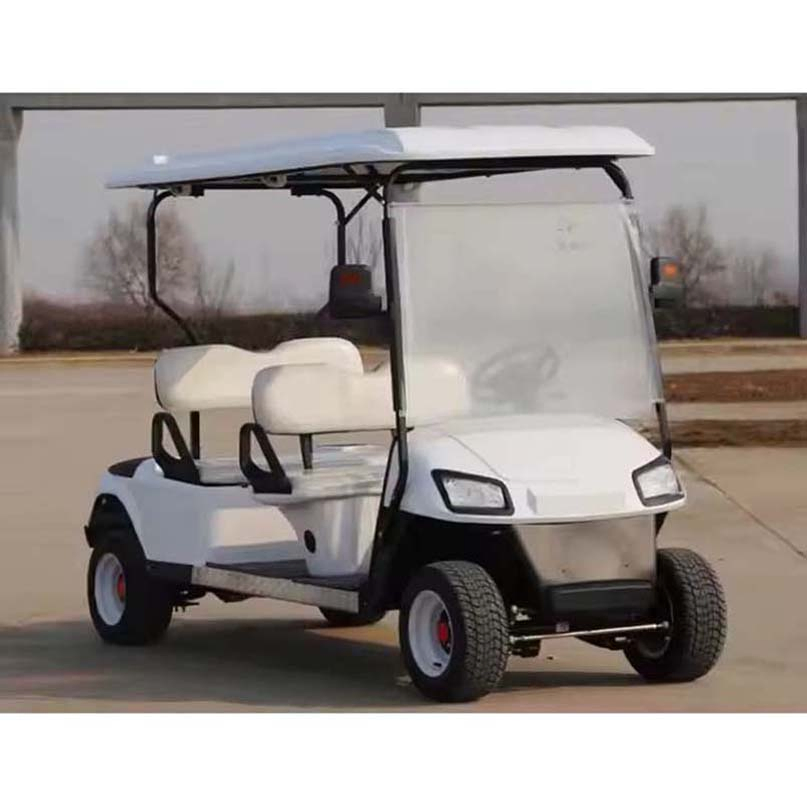 80-100km Carts Buggy 2 Seat Single an Electric Golf Cart for Golf Courses