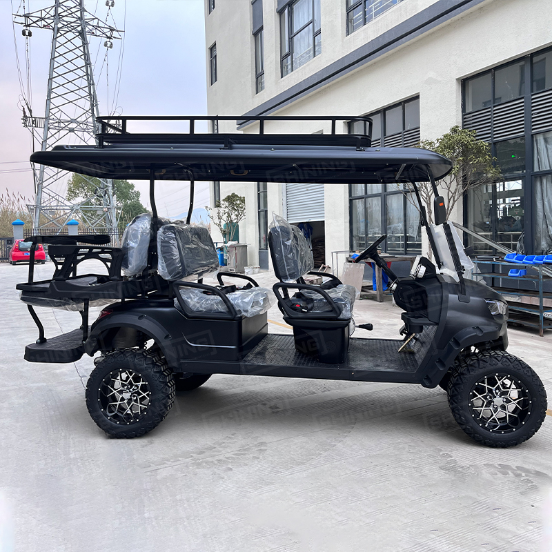 Shininglsv New 6 Golf Carts Gas Powered Gasoline Import Golf Carts From China