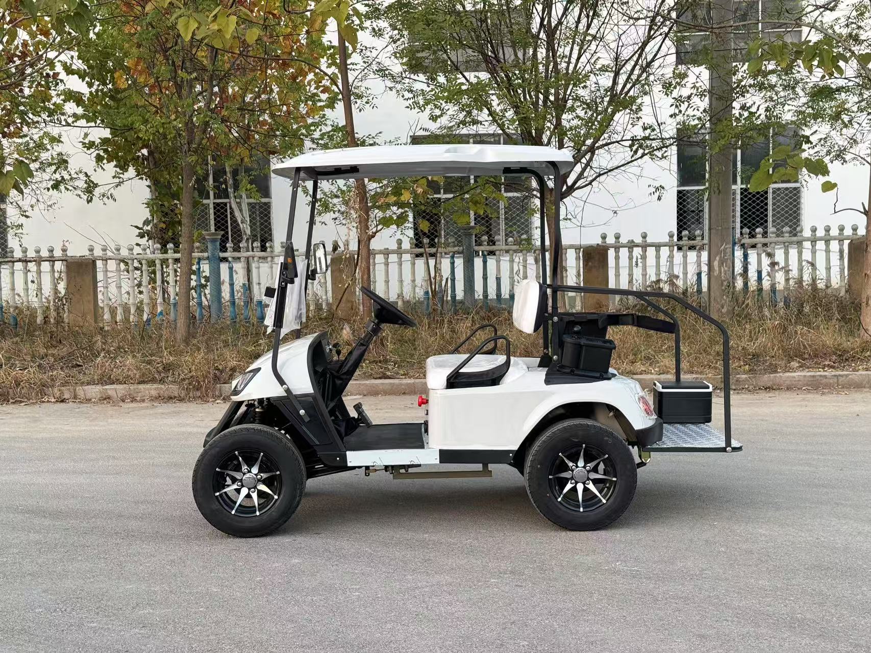 CE DOT Certified Mini Golf Cart 2-Seat - Luxurious Seats, 60V 100AH, 100km Long Range For Resort