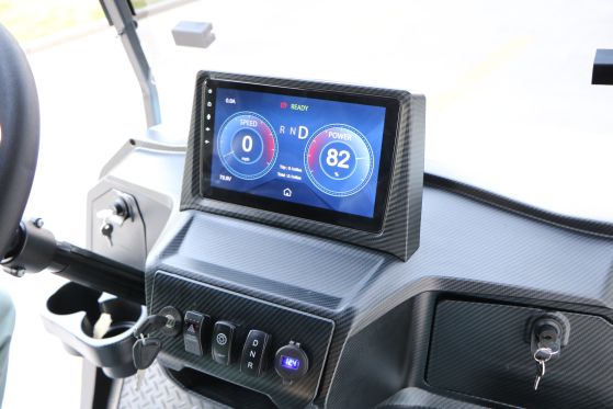 Multimedia LCD screen