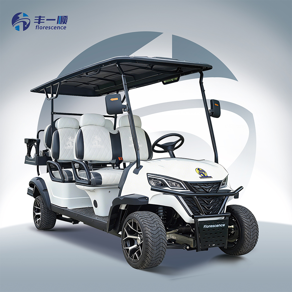 48V-72V Off-Road Pink Lithium Battery 6-Seater Electric Golf Cart with CE for Large Resort Facilities
