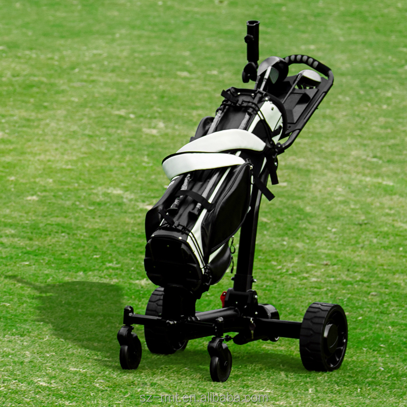 Electric Golf Cart Details
