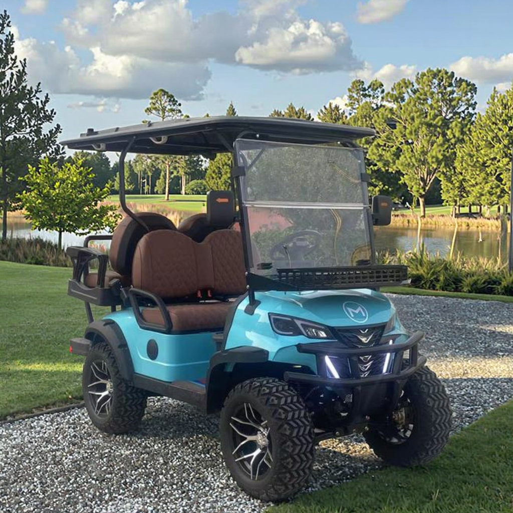 Professional Custom 2-8 Passenger Electric Golf Cart Fleet Rapid Charging System Complete Maintenance Package Durable