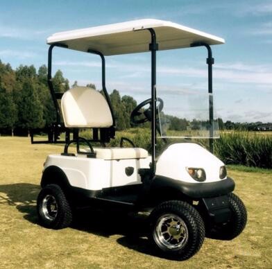 48V 2000W Personal Single Seat Open Space Durable Electric Golf Cart Buggy SS-Model