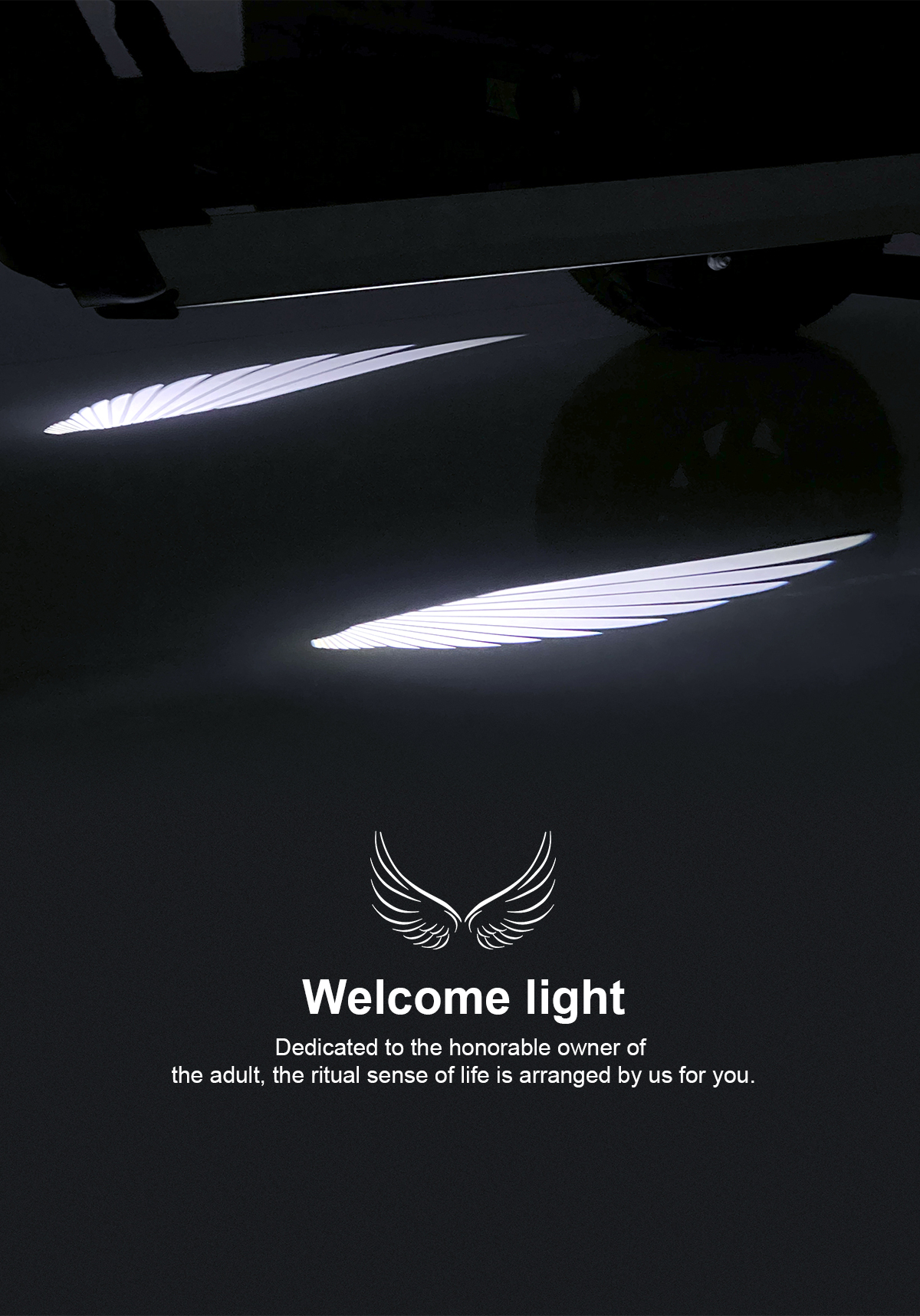 Golf vehicle light